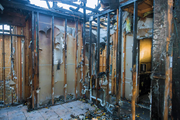 Professional Fire Damage Removal technician working in Ottsville, PA
